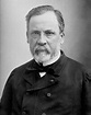 Louis Pasteur (1822 - 1895) - La rage de comprendre - Herodote.net