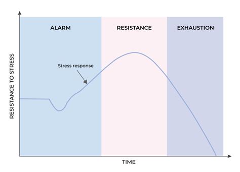 Three Stages Of The Stress Response And How It Affects The Way We