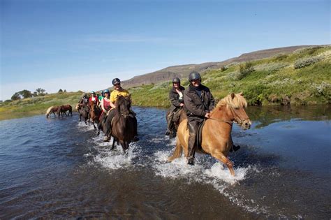 Countryside Charm 1 Hours Horse Riding Tour With Eldhestar