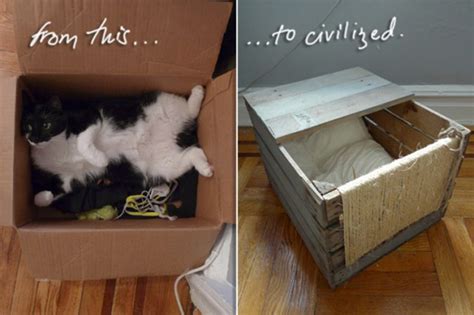 Shop petco to find cozy cat beds and bedding. Wooden Shipping Pallet Turned DIY Cat Bed • hauspanther
