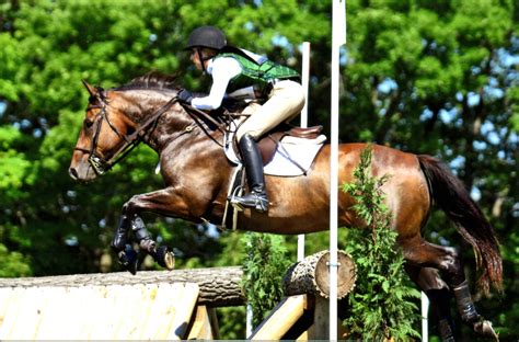 Competition Horses — T.H.A.N.K.S. -A- LOT FARM