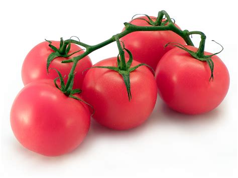 Filepomidory Tomato Wikimedia Commons