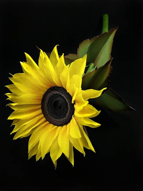 How To Diy Crepe Paper Chocolate Sunflower