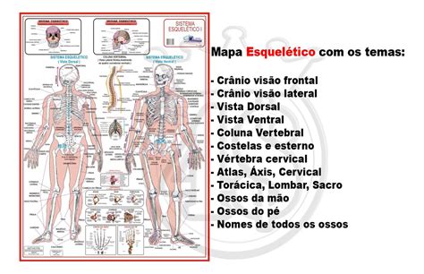 Mapa Mental Tecido Osseo Guma Porn Sex Picture