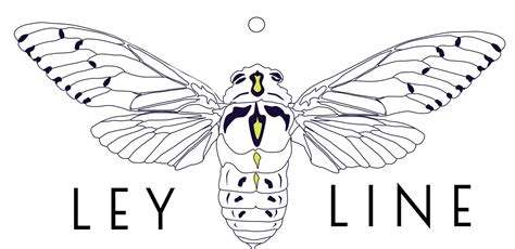 We Need Your Help To Produce Our Visual Album Ley Line Powered By