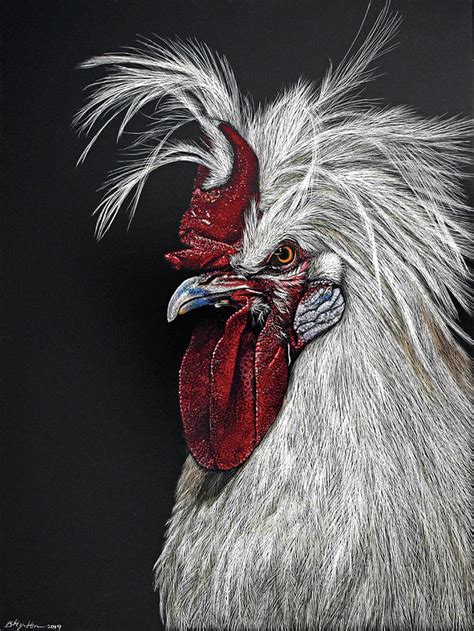 The Angry Cock Drawing By Brittany Johnson Fine Art America