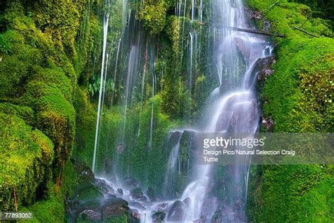 Moss Covered Cliff Photos And Premium High Res Pictures Getty Images