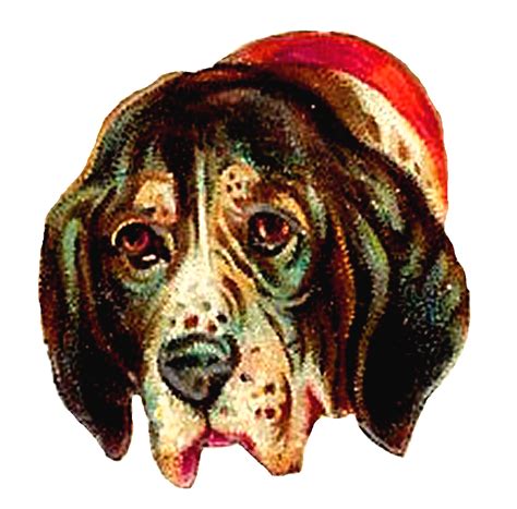 Antique Images 3 Vintage Dog Scrapbooking Digital Downloads Of Animal