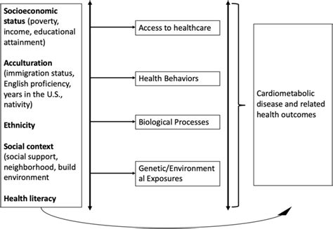 Framework For Social Determinants Of Health Adapted From Healthy People