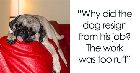 128 Dog Jokes That Might Make You Howl With Laughter Smile And Happy