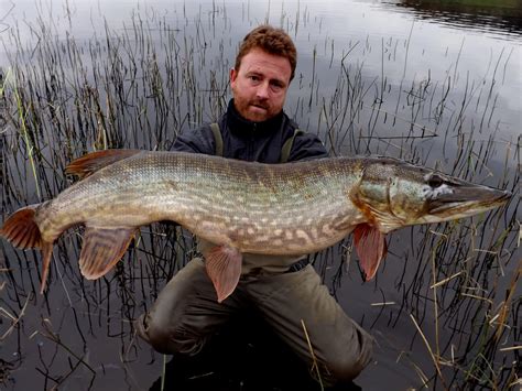 Ireland The Ultimate Pike Angling Destination Fishing In Ireland