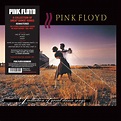 Pink Floyd - A Collection Of Great Dance Songs [180g LP] (vinyl) | 100. ...