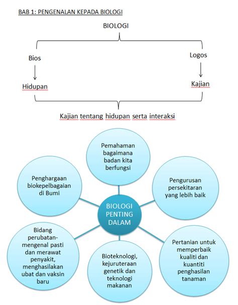 Biologi Tingkatan 4 Bab 6 Pembahagian Sel