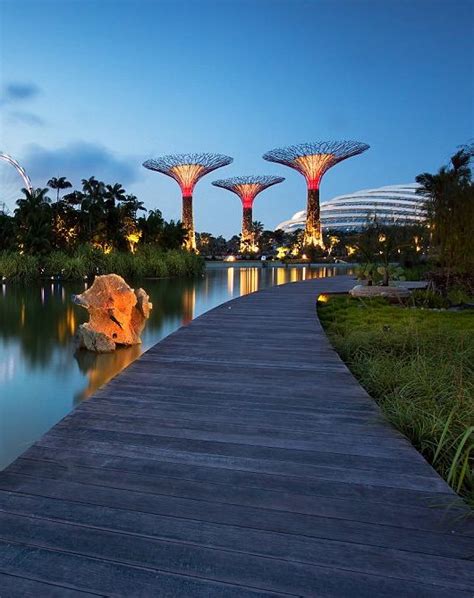 Gardens By The Bay Giant Man Made Supertrees In Singapore Singapore