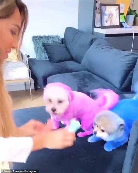 Farrah Abraham Brings Blue Hued Dog Boo On Date Night