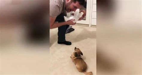 Dieser Hund Wartete Neun Monate Auf Seinen Neuen Freund Endlich