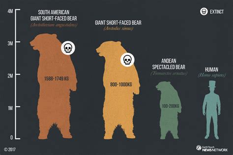 Size Comparison Of Short Faced Bears Rnaturewasmetal