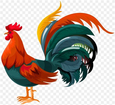Rooster Chicken Clip Art Png 8000x7298px Rooster Art Beak Bird