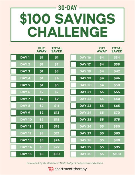 100 Days Challenge Chart Printable