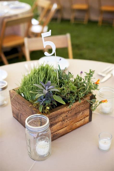 39 Best Images About Wheat Grass Centerpieces On Pinterest