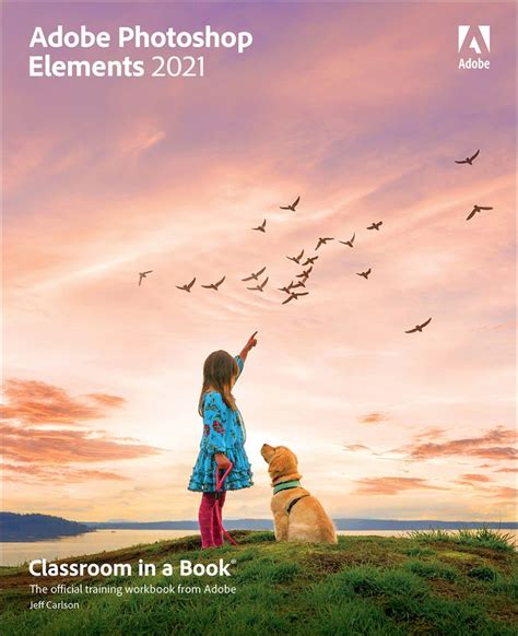 Hello friends, students, subscribers, here, we provide free video tutorials for learning computer programming using easy methods. Adobe Photoshop Elements 2021 Classroom in a Book | Adobe ...