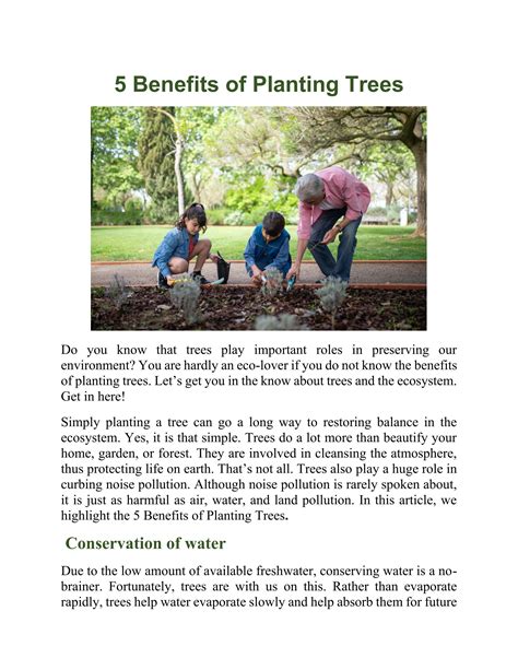 5 Benefits Of Planting Trees By Ecobravouk Issuu