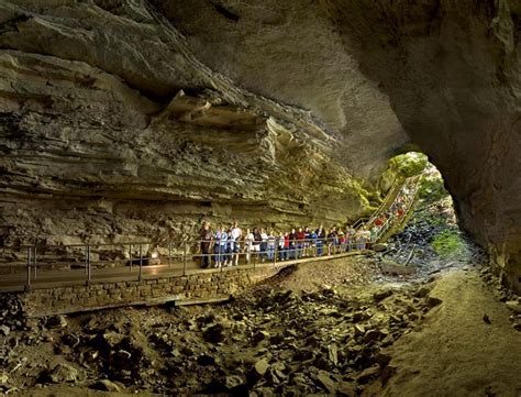 Mammoth Cave National Park Offering Free Tours On Veterans Day Wkms