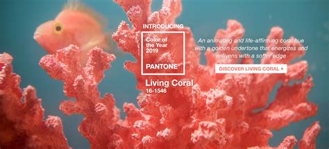 The Color Of 2019 Pantone Living Coral Used In Home Decor The Cottage