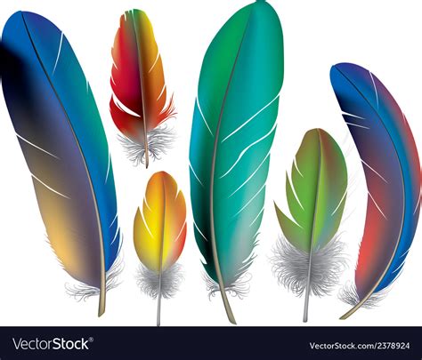 Colored Feathers Royalty Free Vector Image Vectorstock