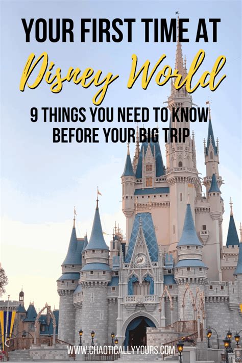 Your First Time At Disney World 9 Things You Need To Know