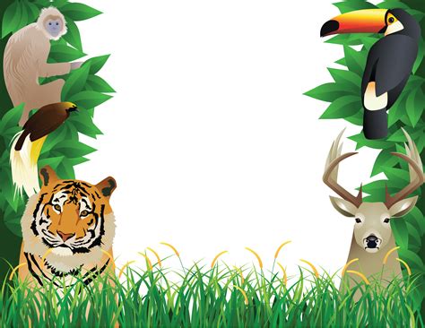 Jungle Frame Png Clip Art Library Images