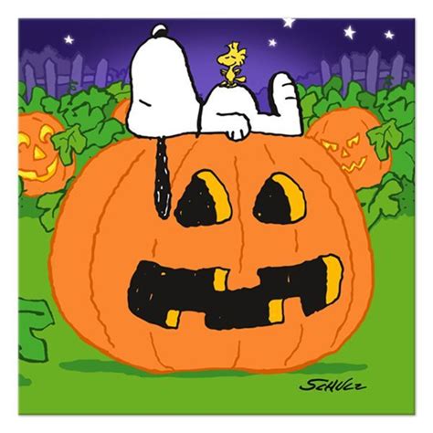 56 Best Charlie Brown Great Pumpkin Images On Pinterest Snoopy