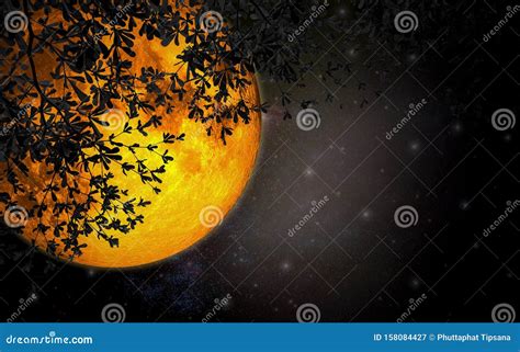 Romantic Night Sky With Large Moon Orange Color Beautiful Sprawling