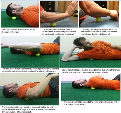 Fitness Lacrosse Ball Exercise Trigger Point Therapy Massage Stress