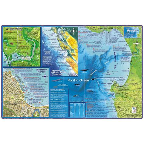 Franko Monterey Bay Guide And Dive Map Saguaro Scuba