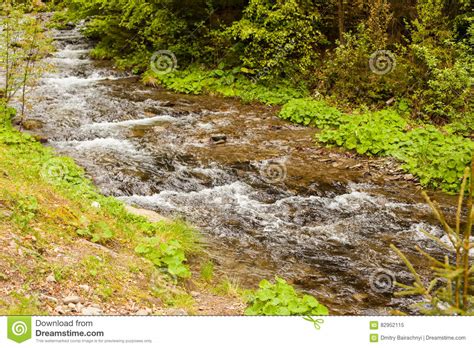 The River Is Flowing Downstream Stock Image Image Of Motion Forest