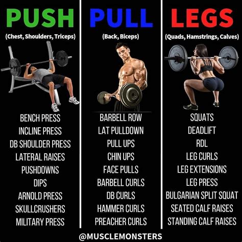 Push Pull Legs Routine Push Pull Legs Workout Leg Routine Push