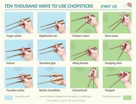 Ten Thousand Ways To Use Chopsticks Marcosticks