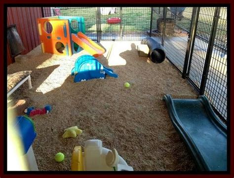 Puppy Play Area Dog Playground Dog Breeding Kennels Dog Play Area