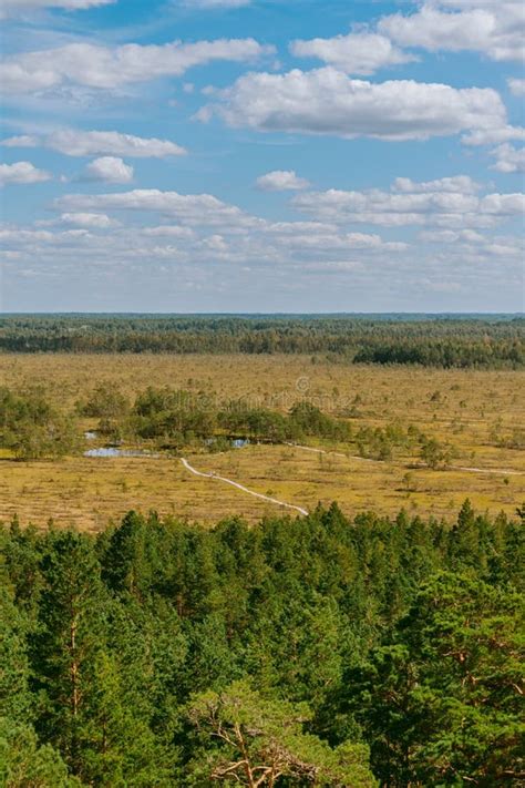Aerial View Over The Forest And Swamp Blue Sky With White Clouds