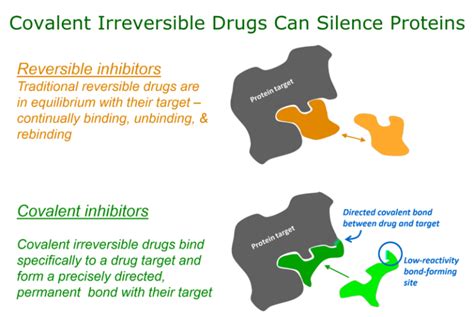 Difference Between Reversible And Irreversible Inhibition Compare The