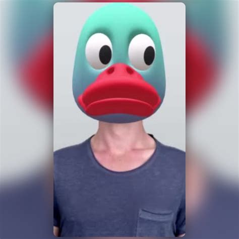 Duck Punkz Solana Lens By Timethief Services Snapchat Lenses And Filters