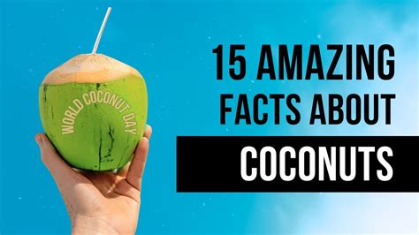 World Coconut Day Special 15 Amazing Facts About Coconuts Youtube