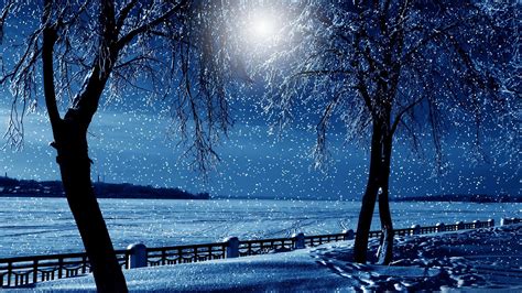 Trees Winter Moon Wallpaper Nature And Landscape