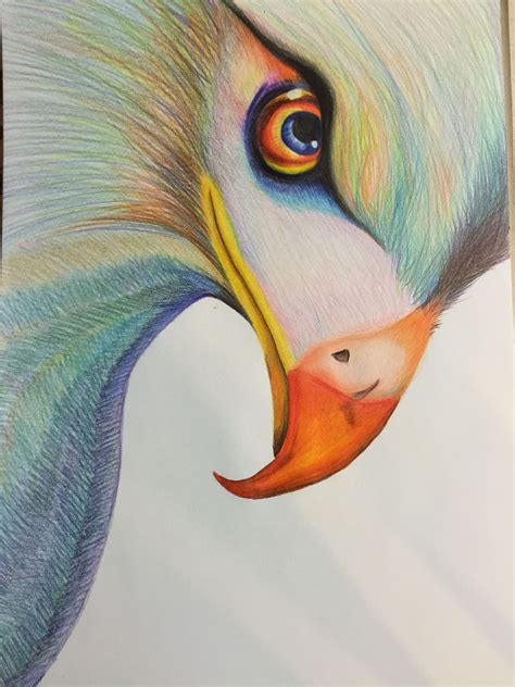 Águila De Colores Oil Pastel Art Art Practice Painting