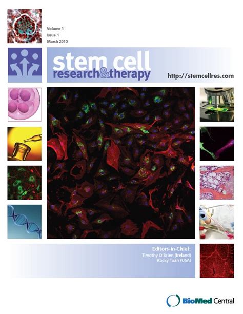 Stem Cell Research And Therapy Advancing The Pathway To The Clinic On