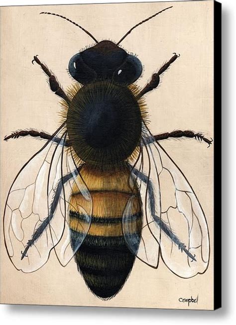 Honey Bee Canvas Print Canvas Art By Timothy Campbell Bee Painting