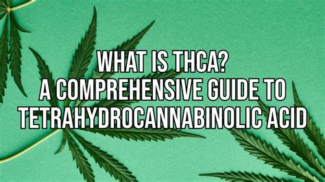 What Is Thca A Comprehensive Guide To Tetrahydrocannabinolic Acid My