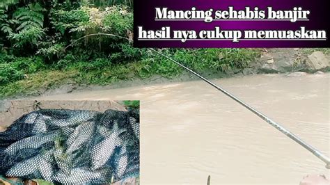 Rezeki Mancing Habis Banjir Mancing Ikan Regis Youtube