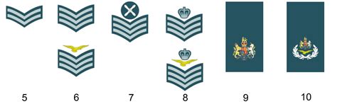 Ranks Of The British Air Force Royal Air Force Militär Wissen